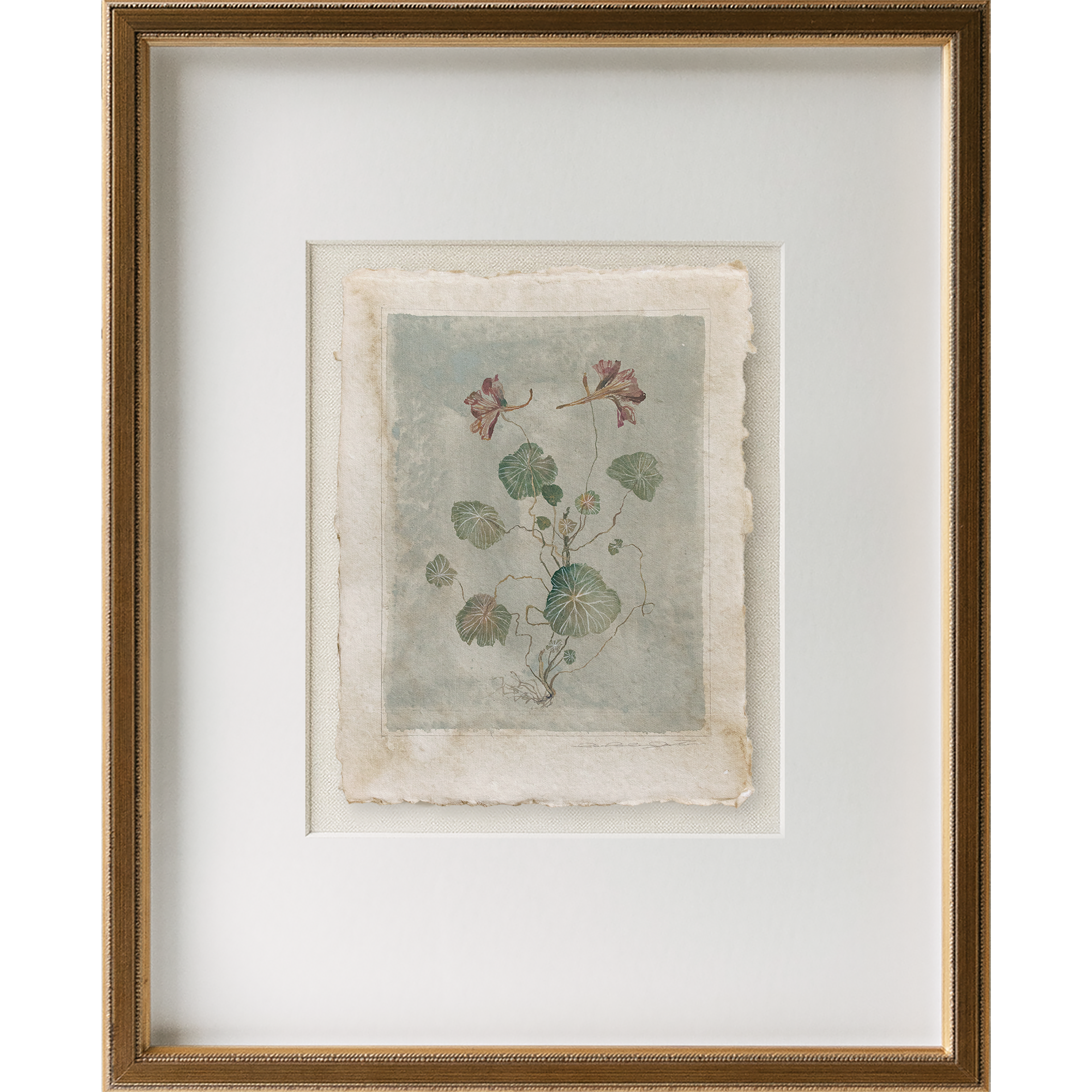 WEB holiday 2025 nasturtium pigeon 1 frame.png