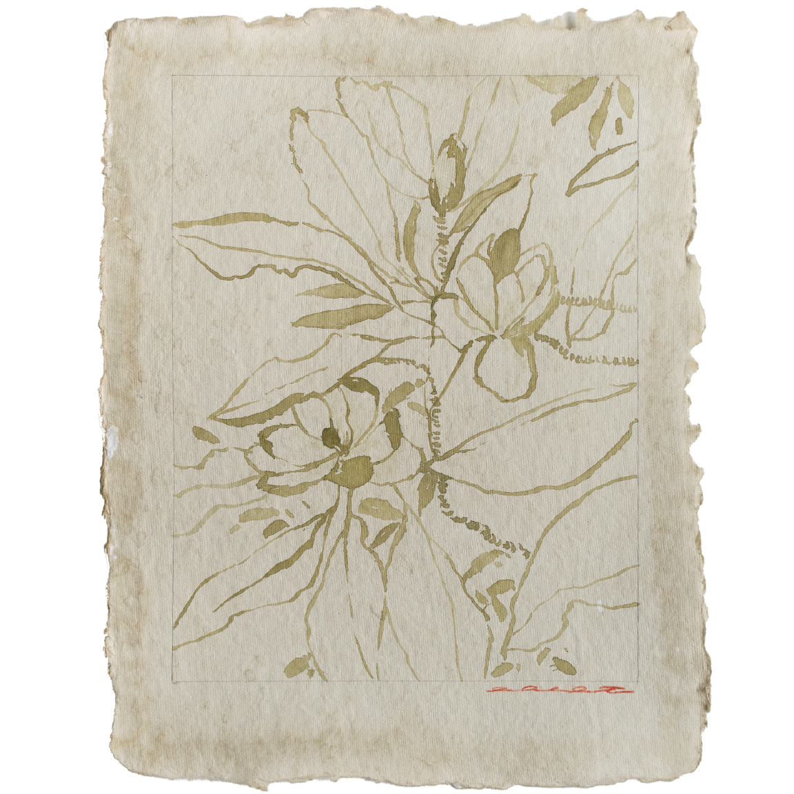tousled bay magnolia no2 3.png