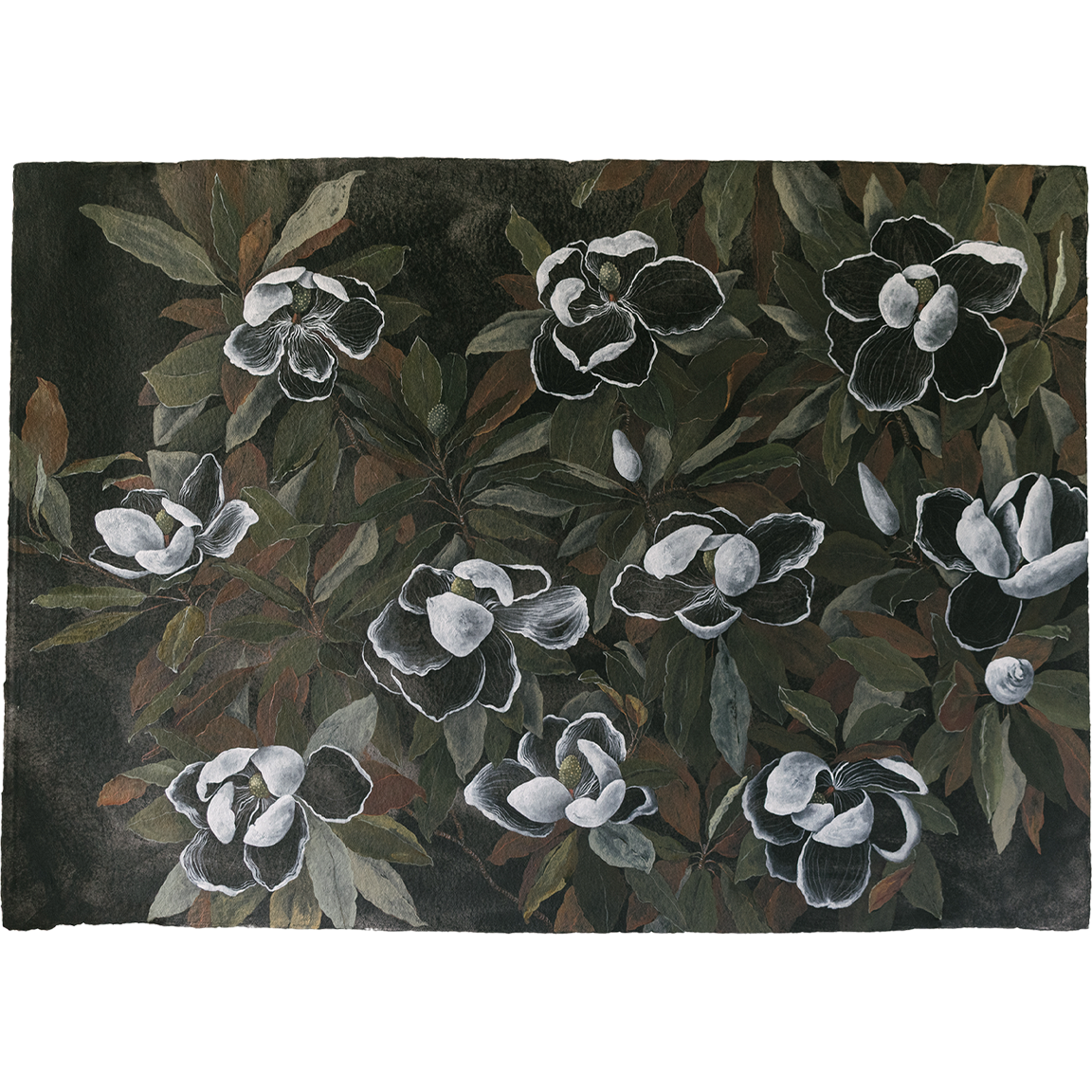 night blooms 3.png