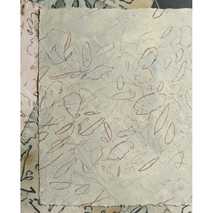 Plum + Delicate Aged Green WEB 3.png