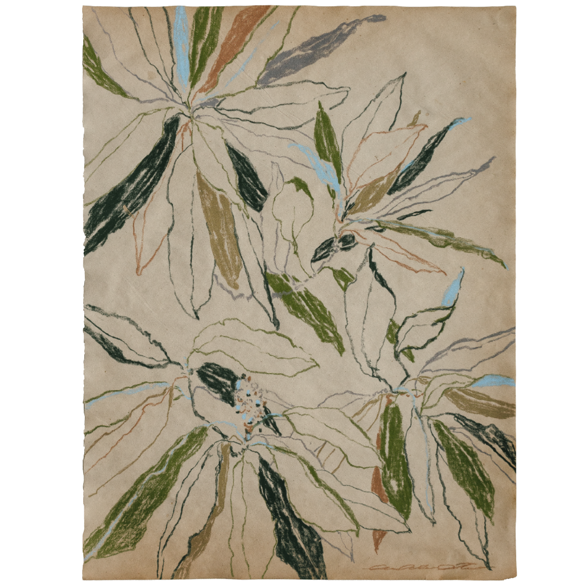curling leaves study no1 2.png