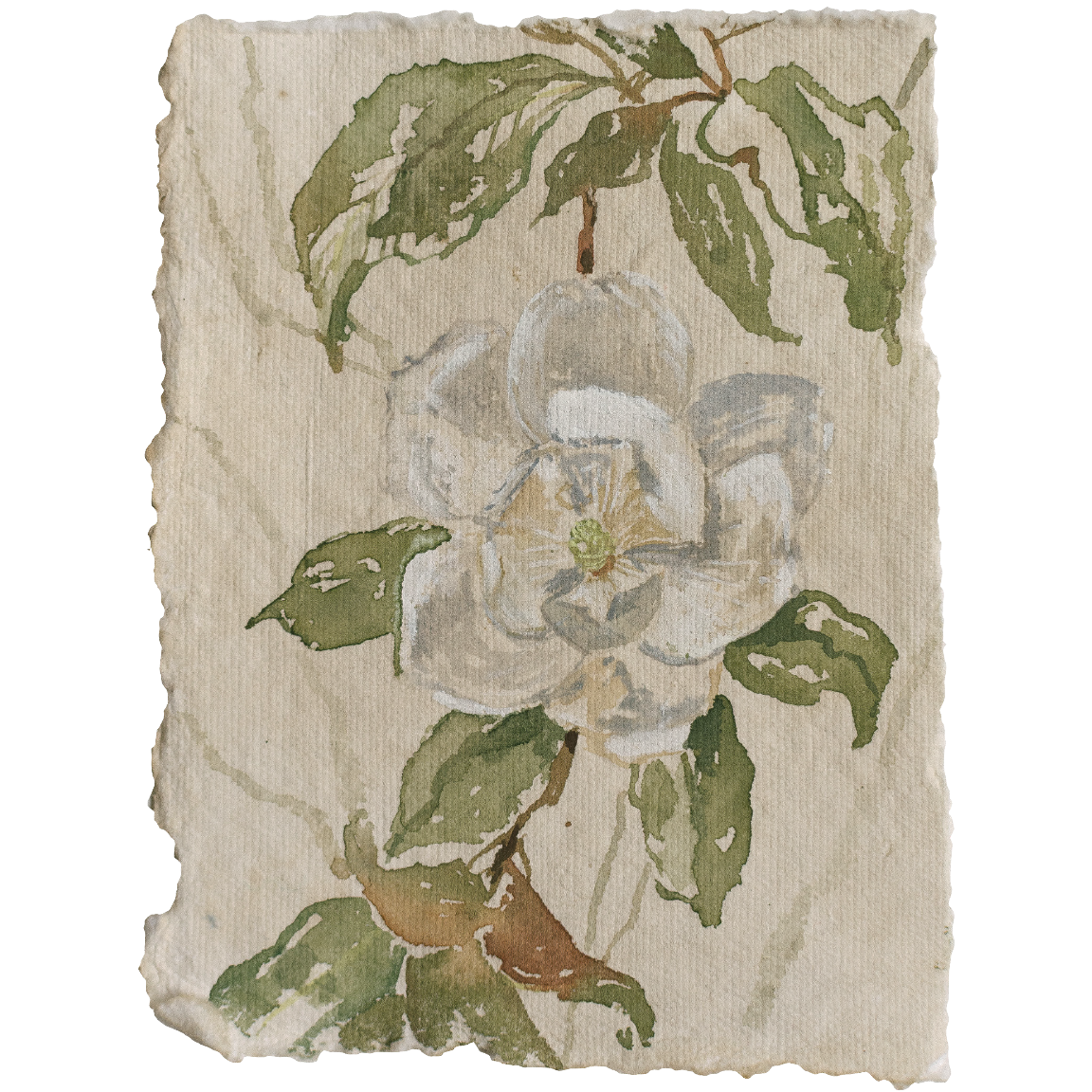 3 Ivory in Bloom 1.png