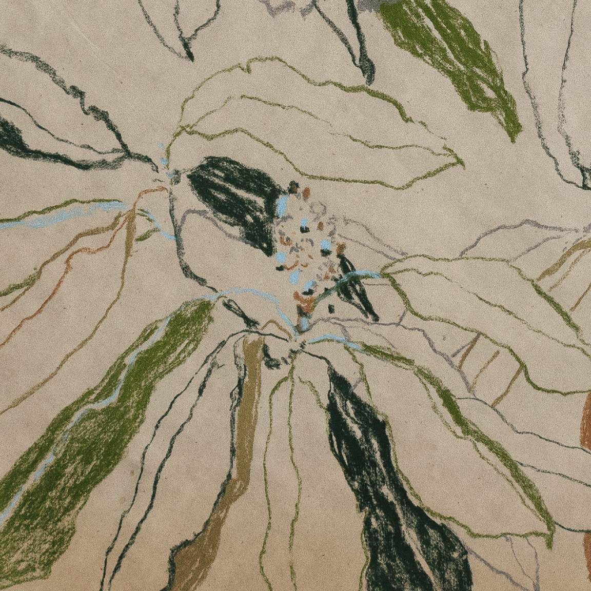 curling leaves study no1 3.png
