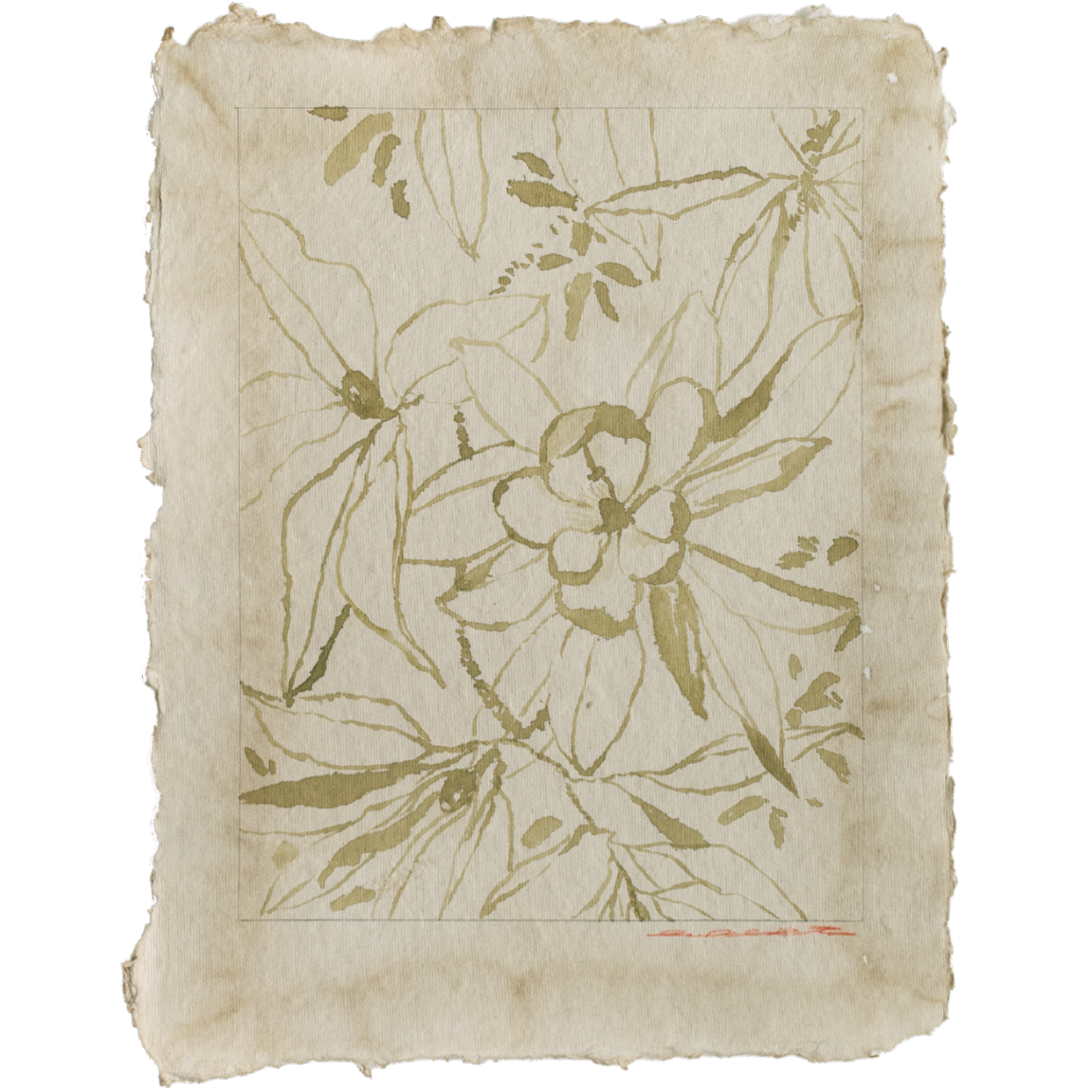 tousled bay magnolia no1 1.png