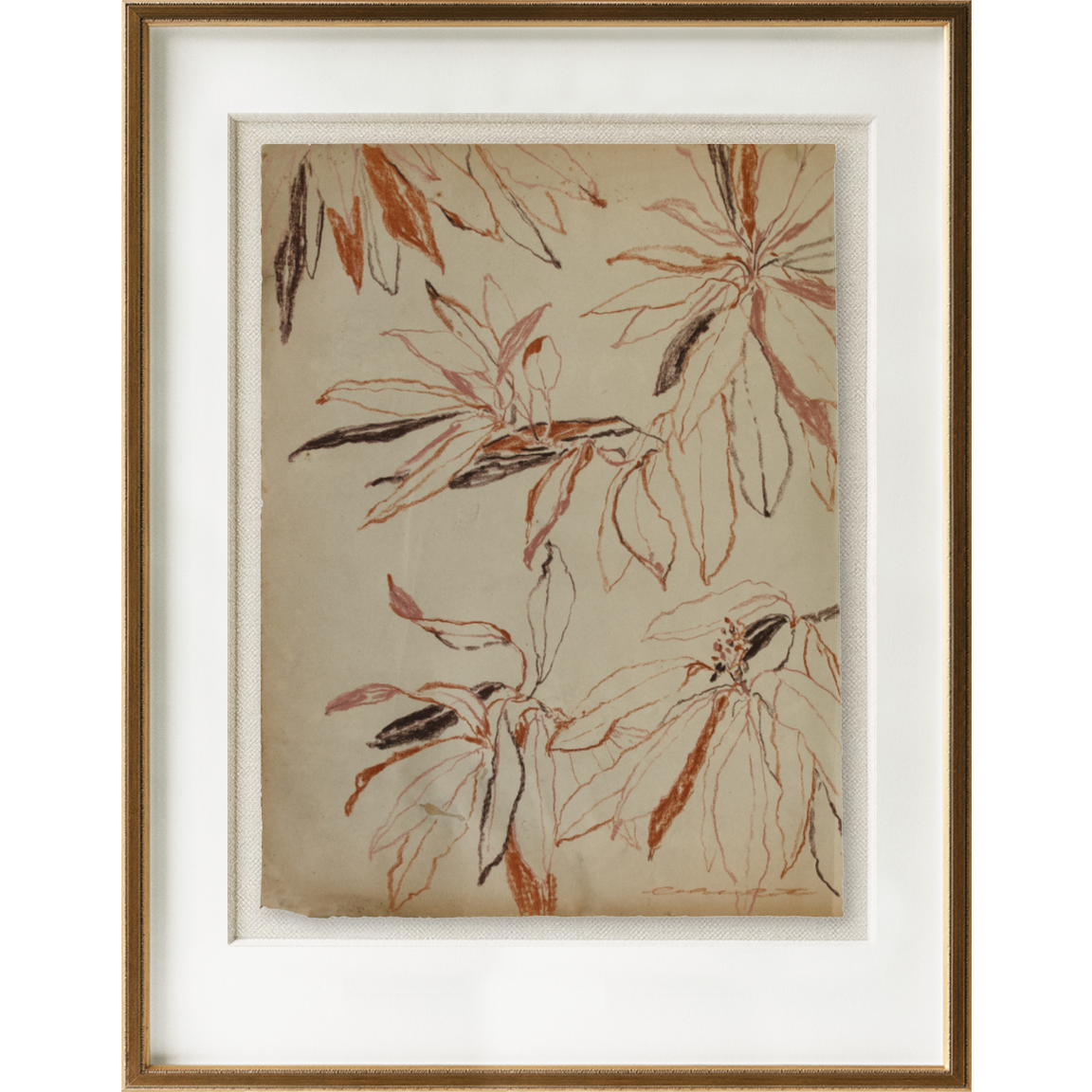 autumn bay magnolia study no1 4.png