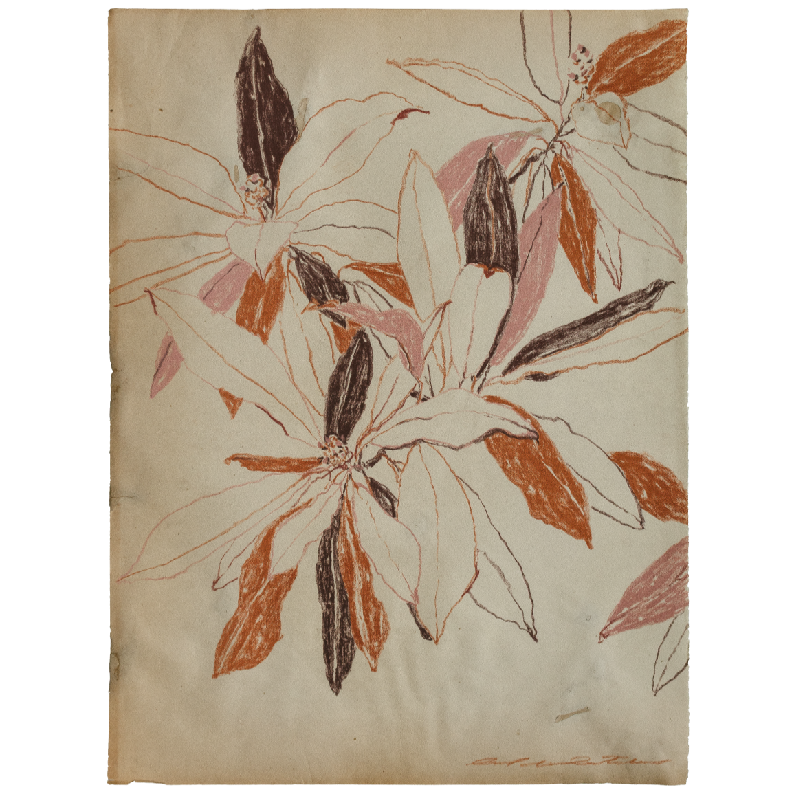 autumn bay magnolia study no2 2.png