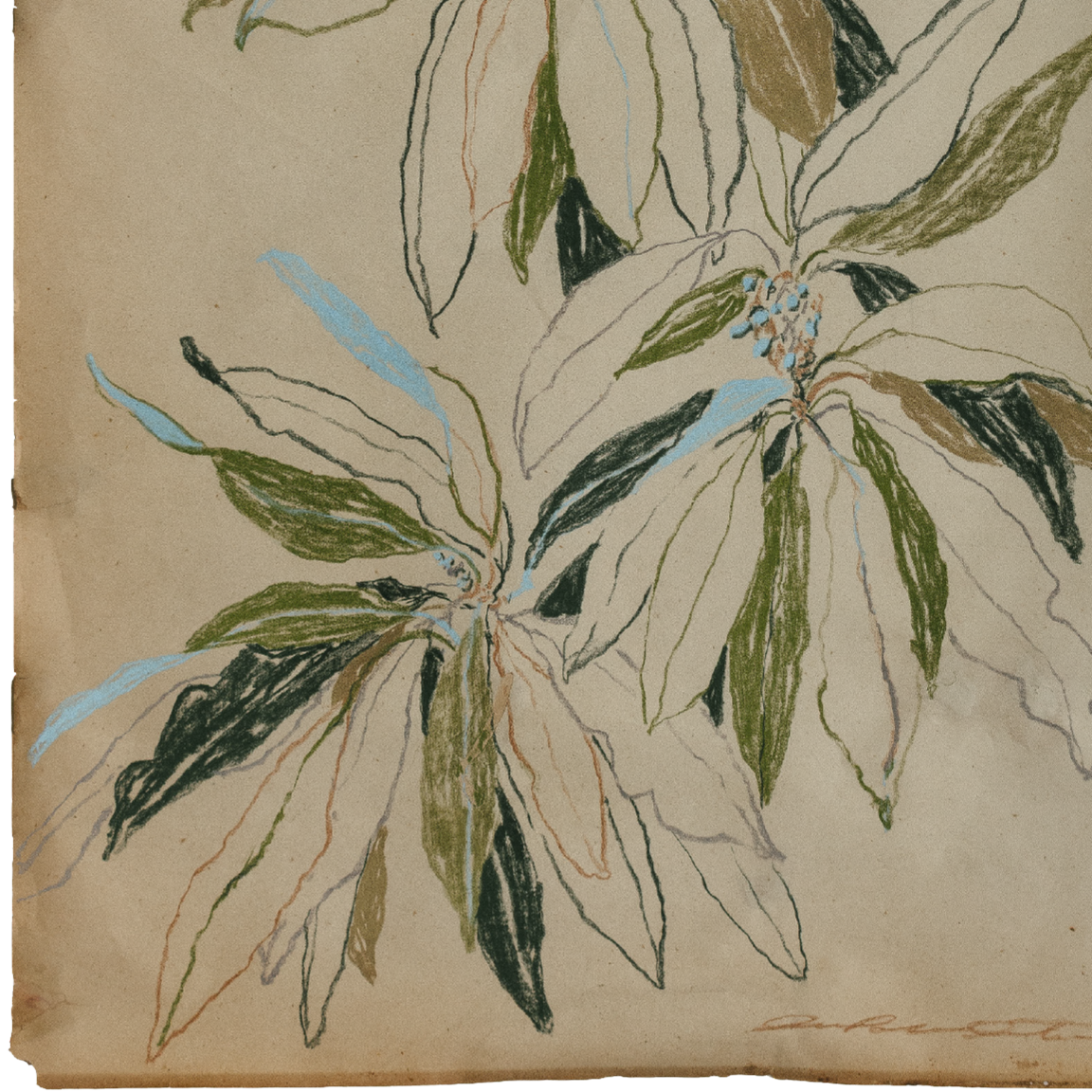 curling leaves study no2 2.png