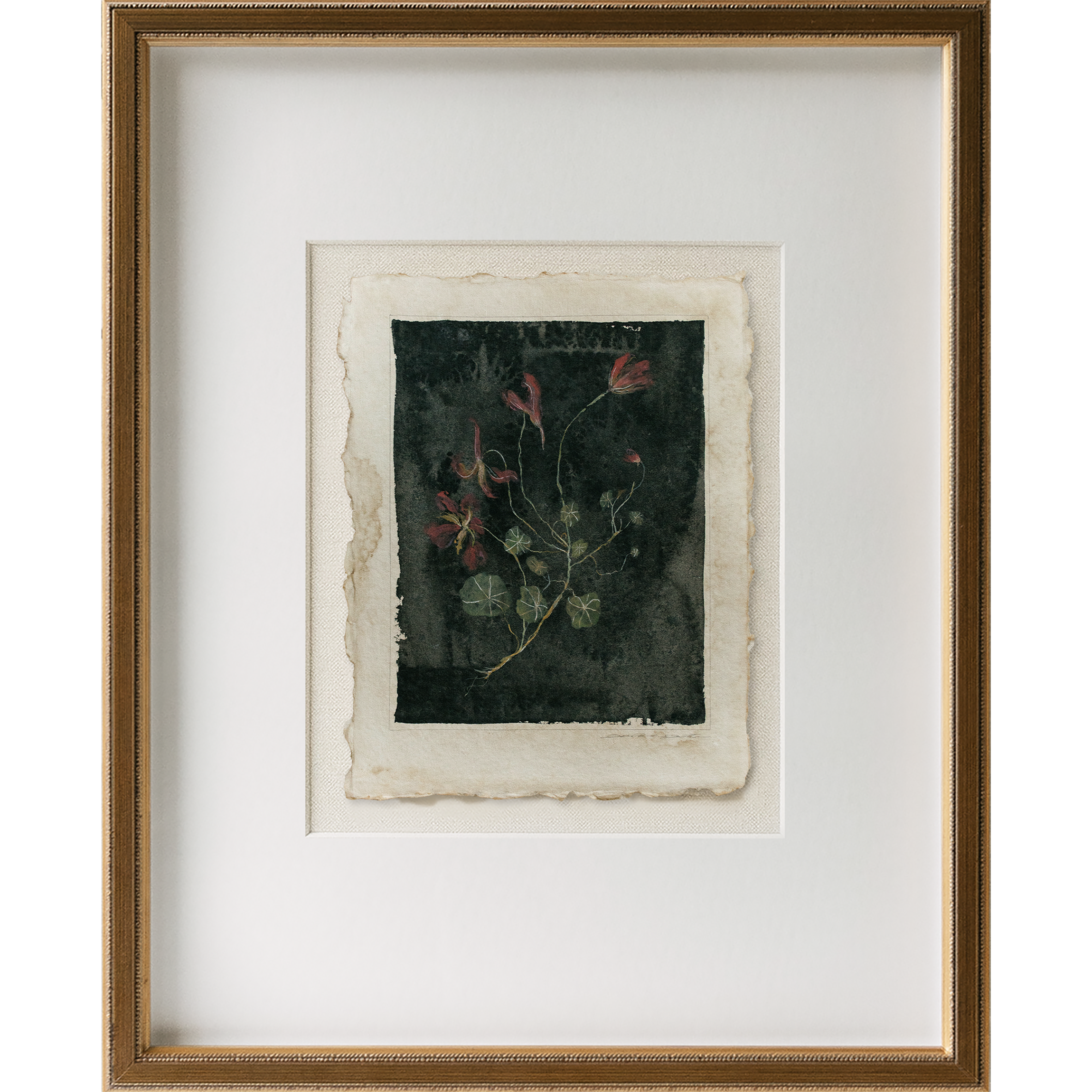 WEB holiday 2025 nasturtium 4 frame.png