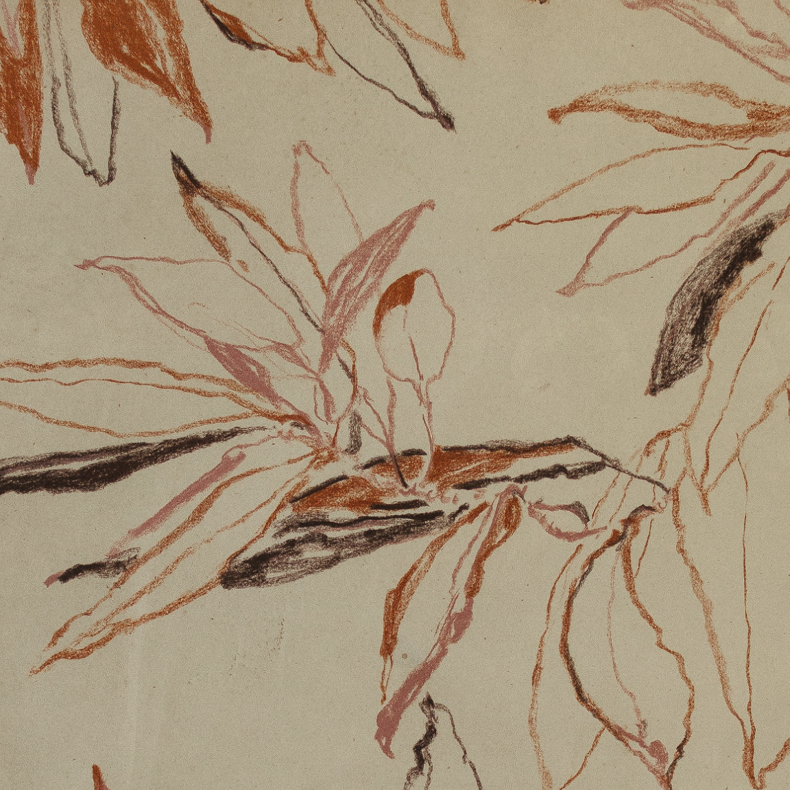 autumn bay magnolia study no1 6.png