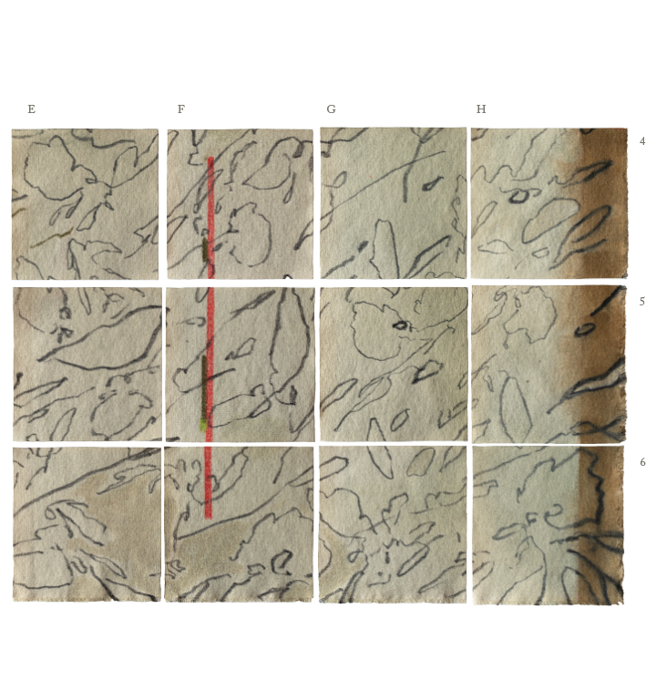 TINY GLIMMERS GRID 4.png