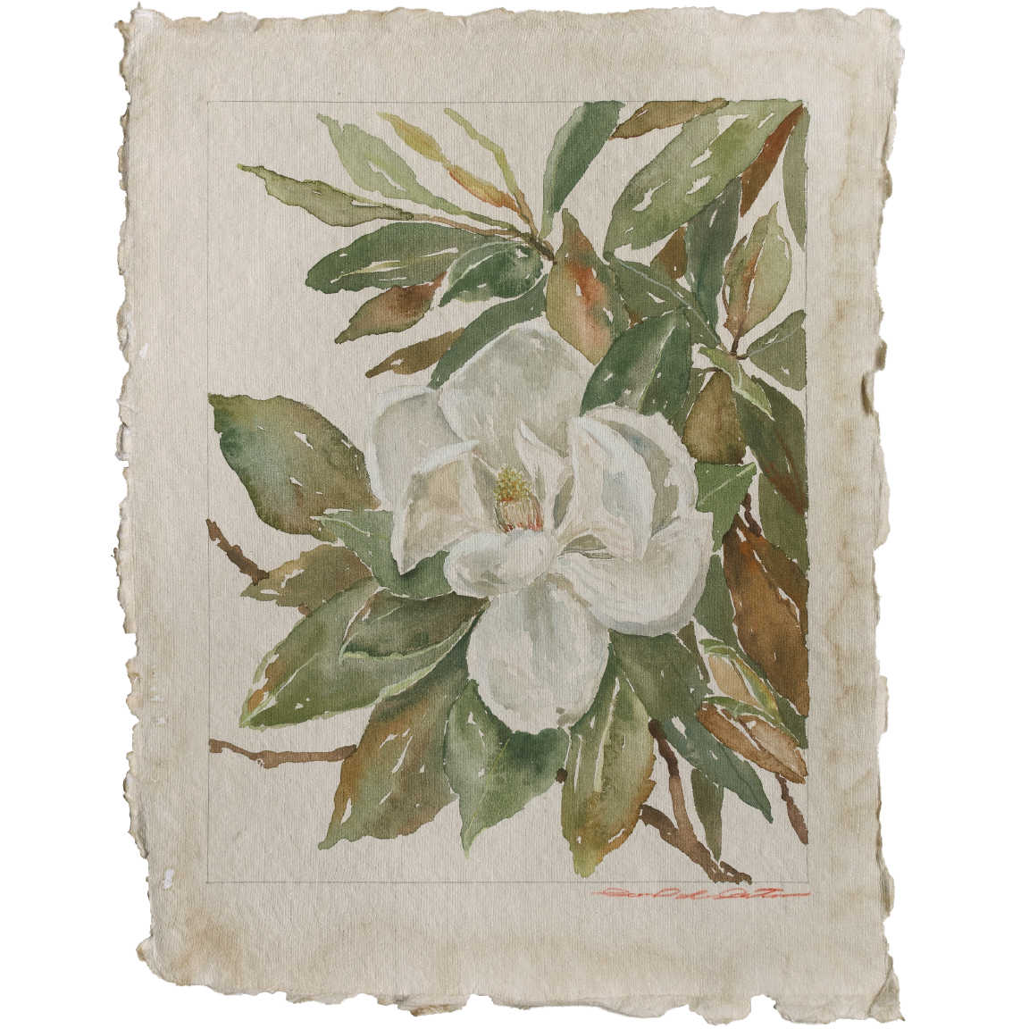 petals leaves and light 2.png