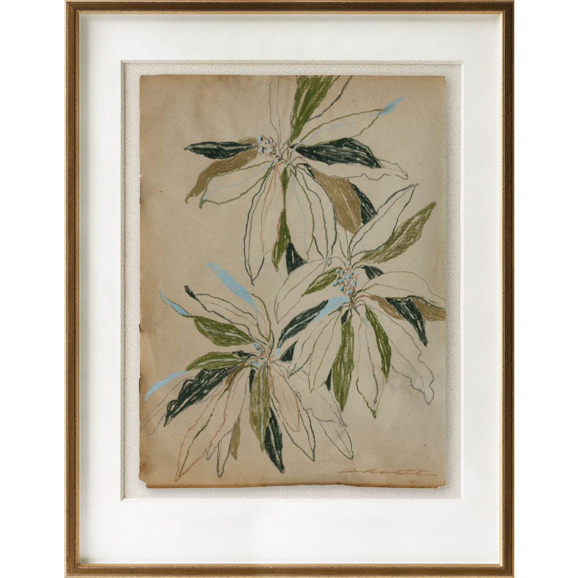 curling leaves study no2 5.png