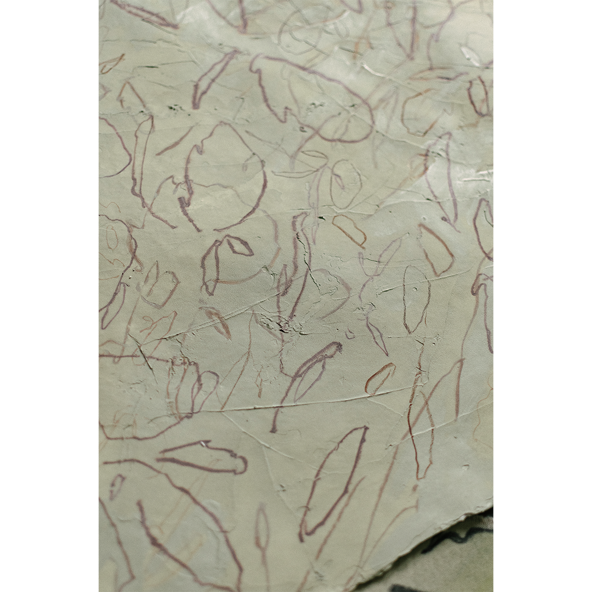 Plum + Delicate Aged Green WEB 5.png