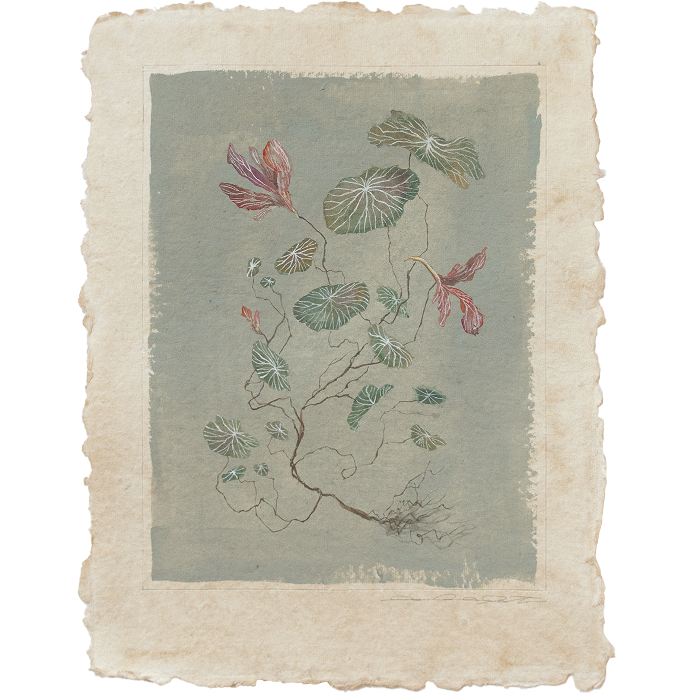 WEB holiday 2025 Nasturium on Pigeon 3 no frame.png