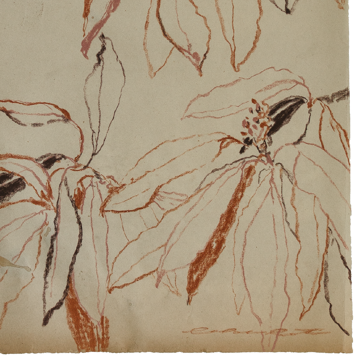 autumn bay magnolia study no1 5.png