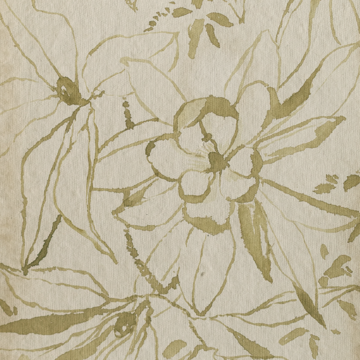 tousled bay magnolia no1 2.png