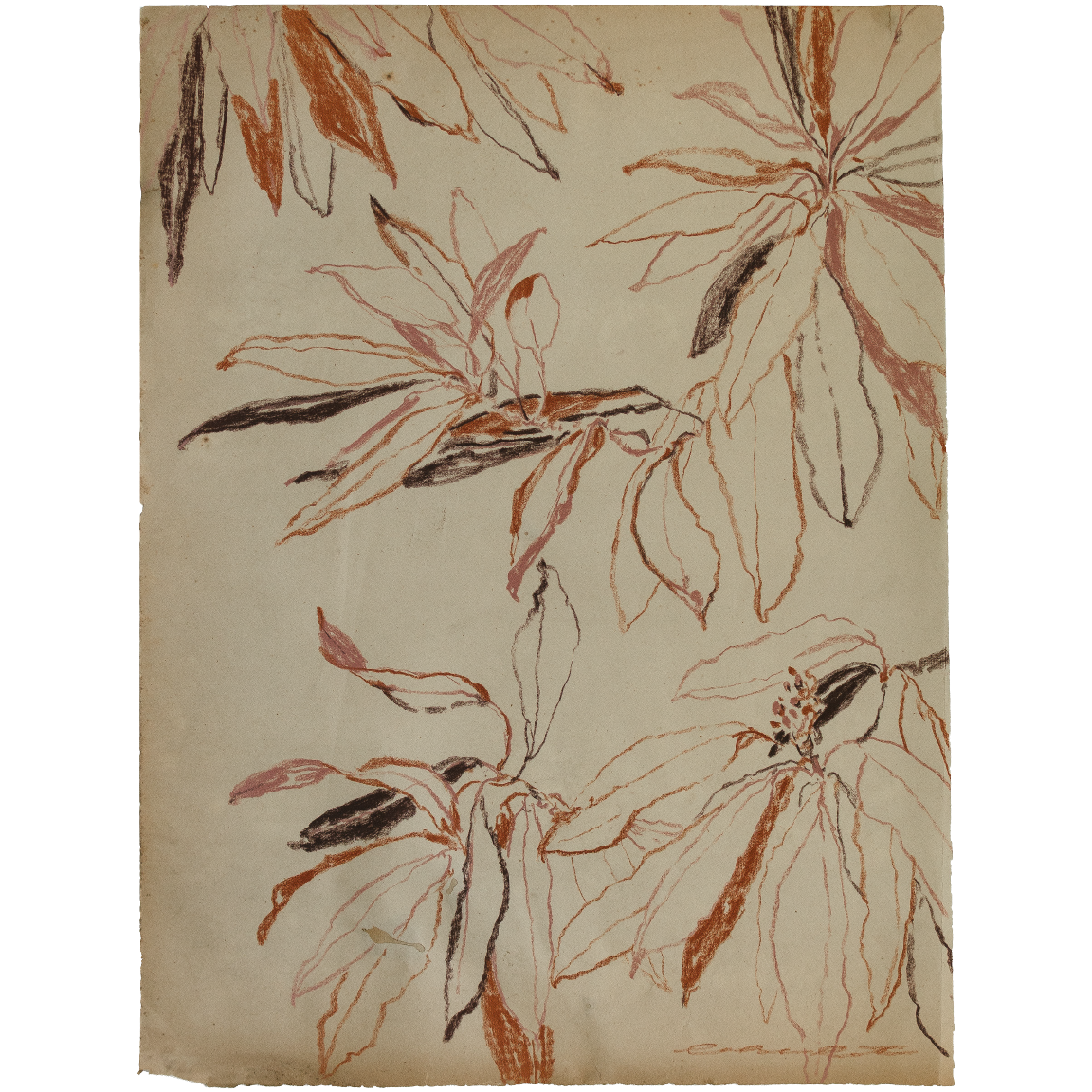 autumn bay magnolia study no1 2.png