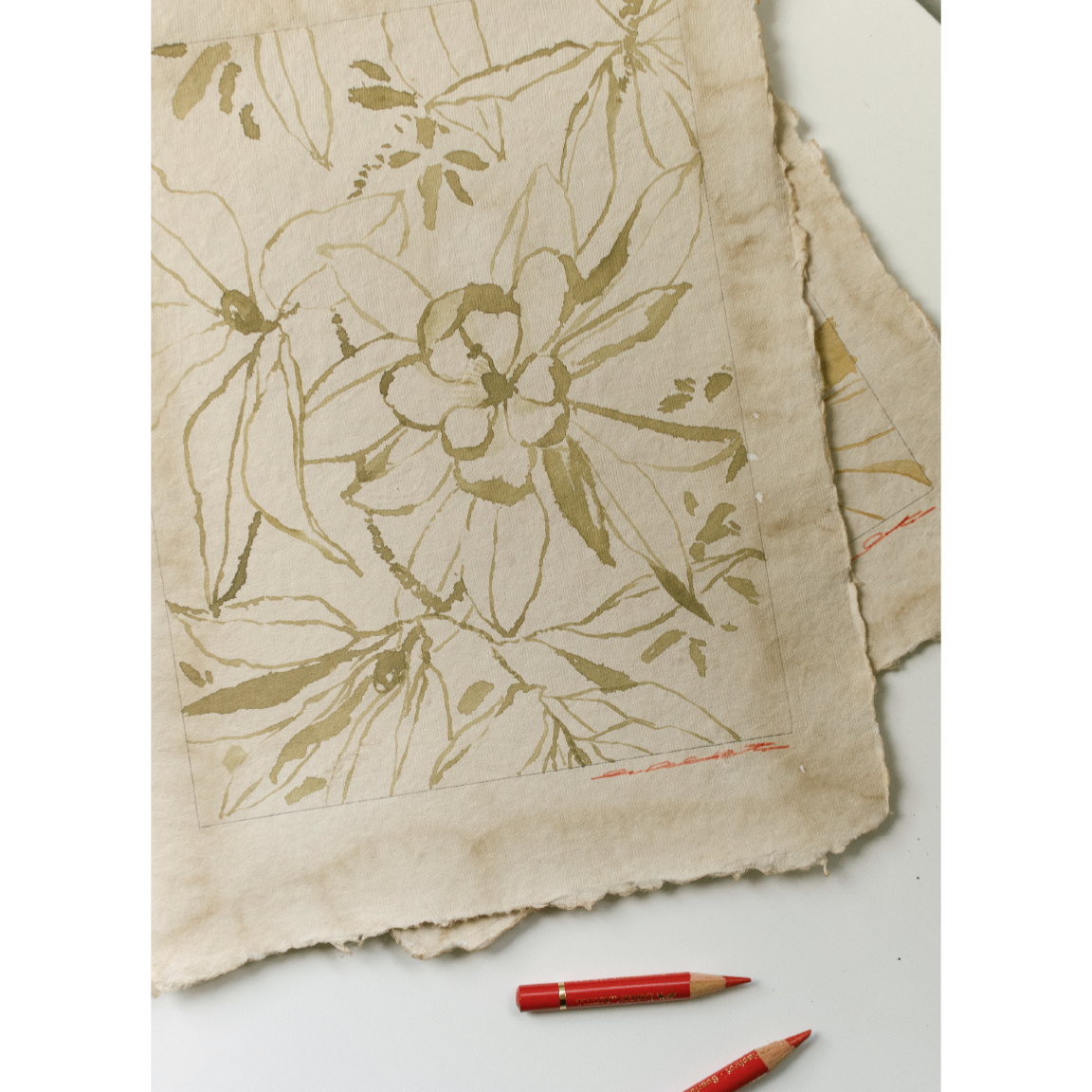 tousled bay magnolia no1 3.png