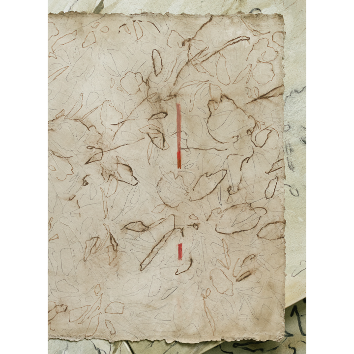 CHERRY TOBACCO WEB 3.png