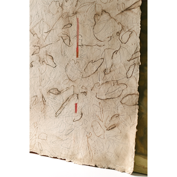 CHERRY TOBACCO WEB 7.png