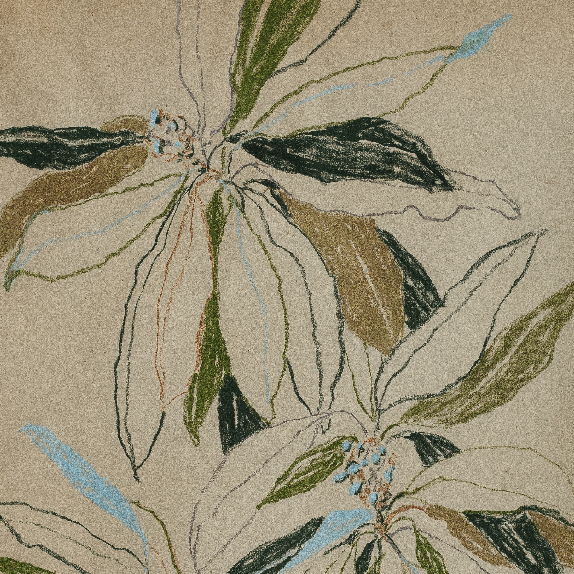 curling leaves study no2 3.png