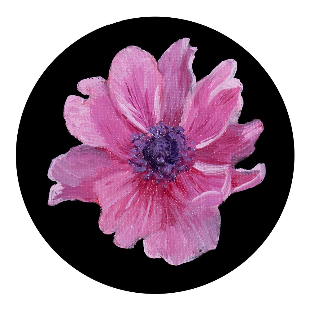 Pink Anemone