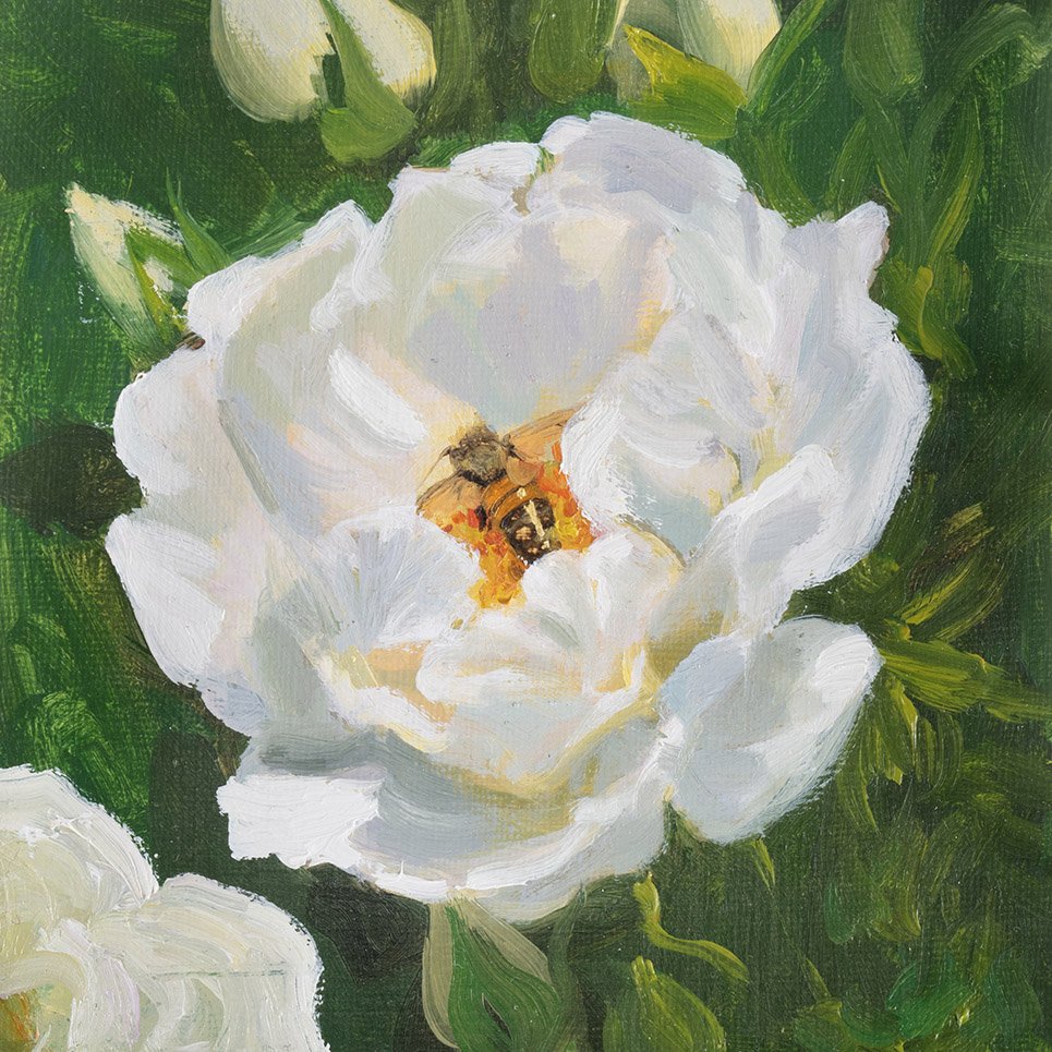 There's a Bee in the Shrub Roses