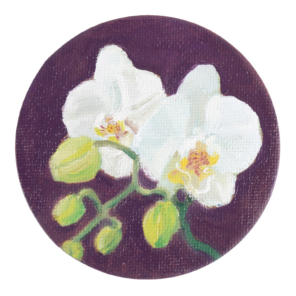 Mini Orchids on Plum