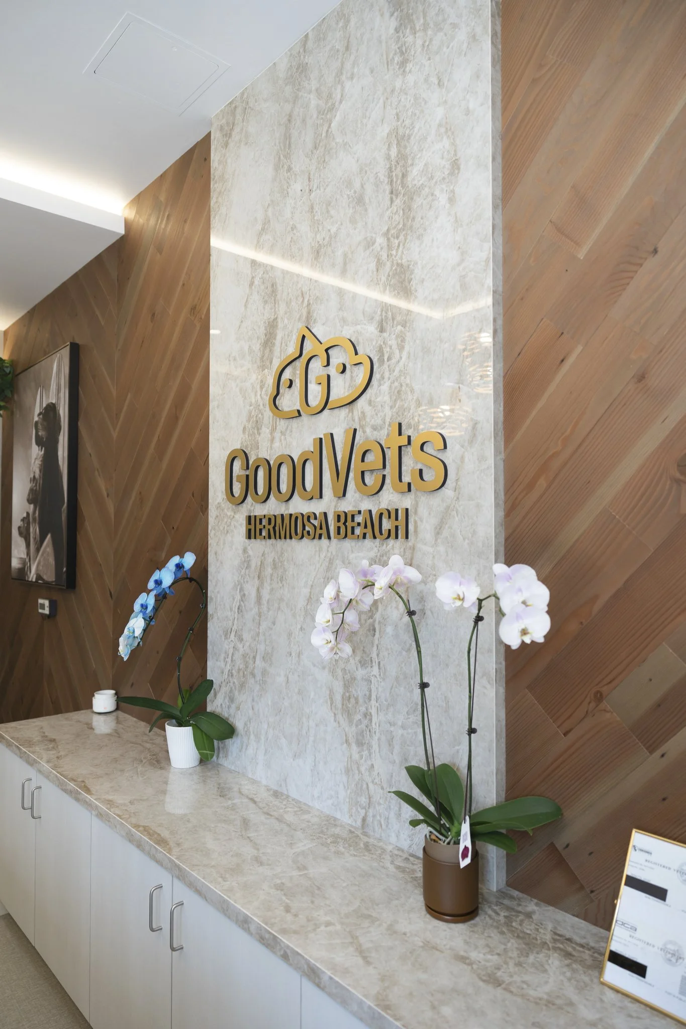 GoodVets - Hermosa Beach