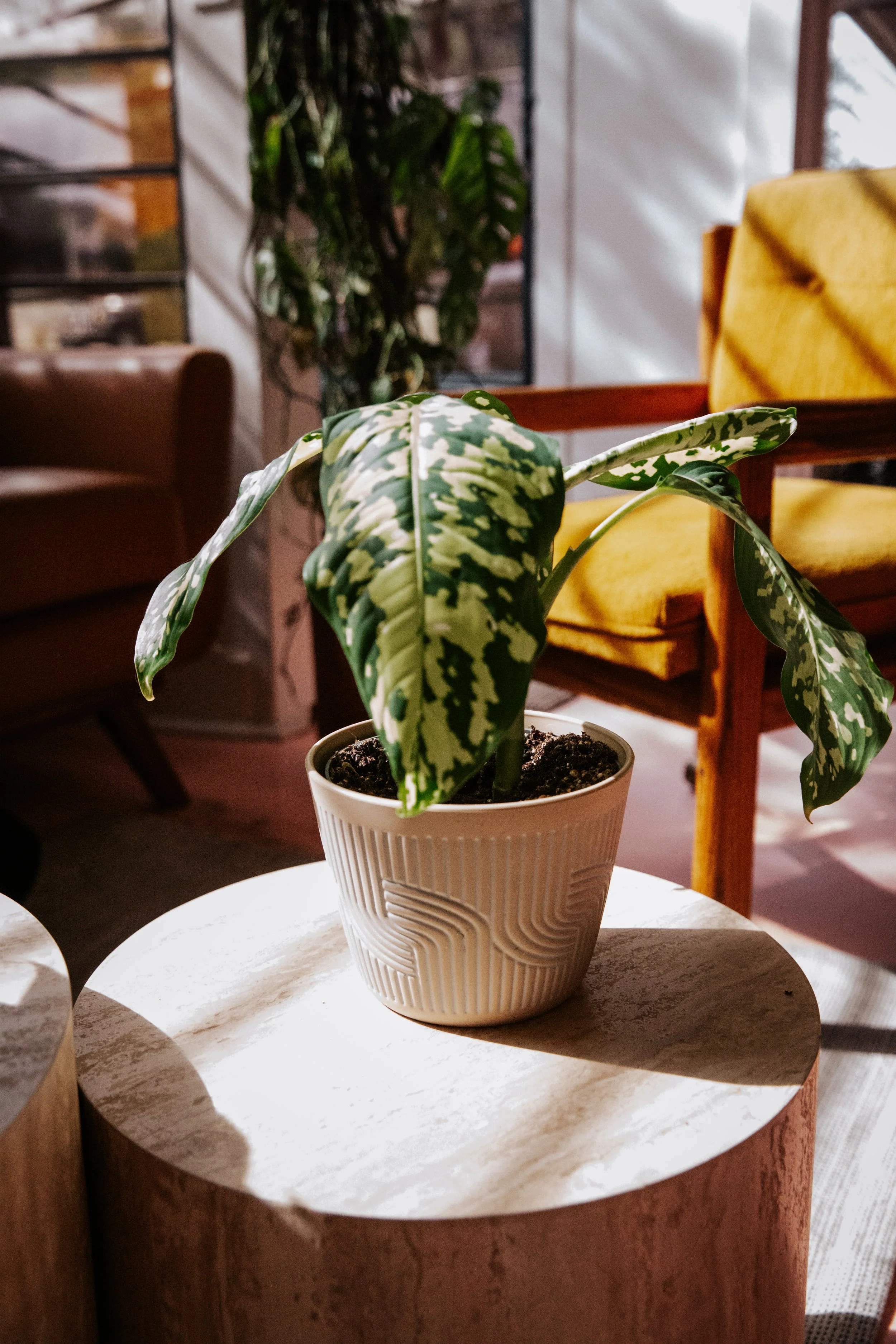 Why Clients Are Switching to Transparent Pricing Hair Salons