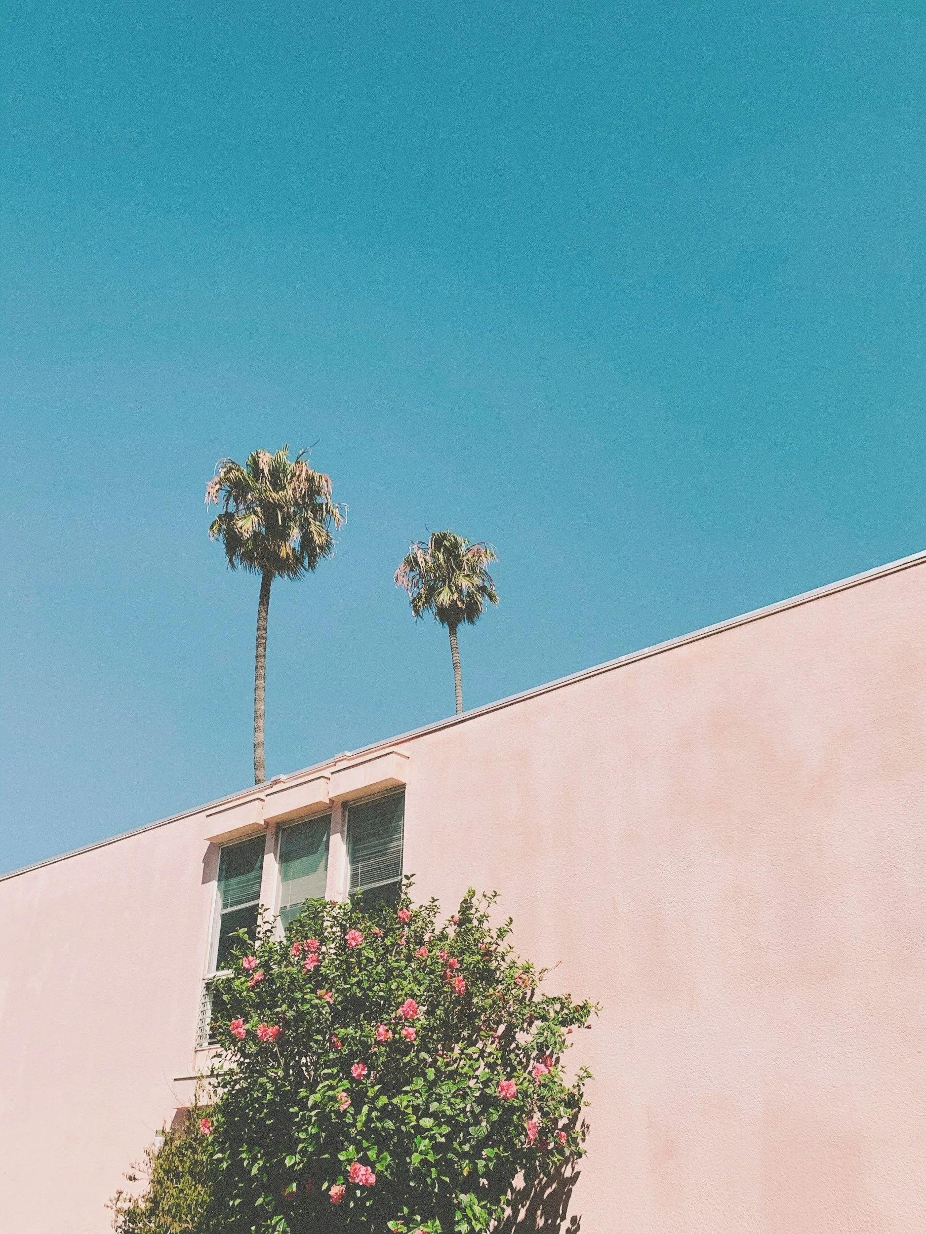 Los Angeles Silver Lake Salon Bre Talley