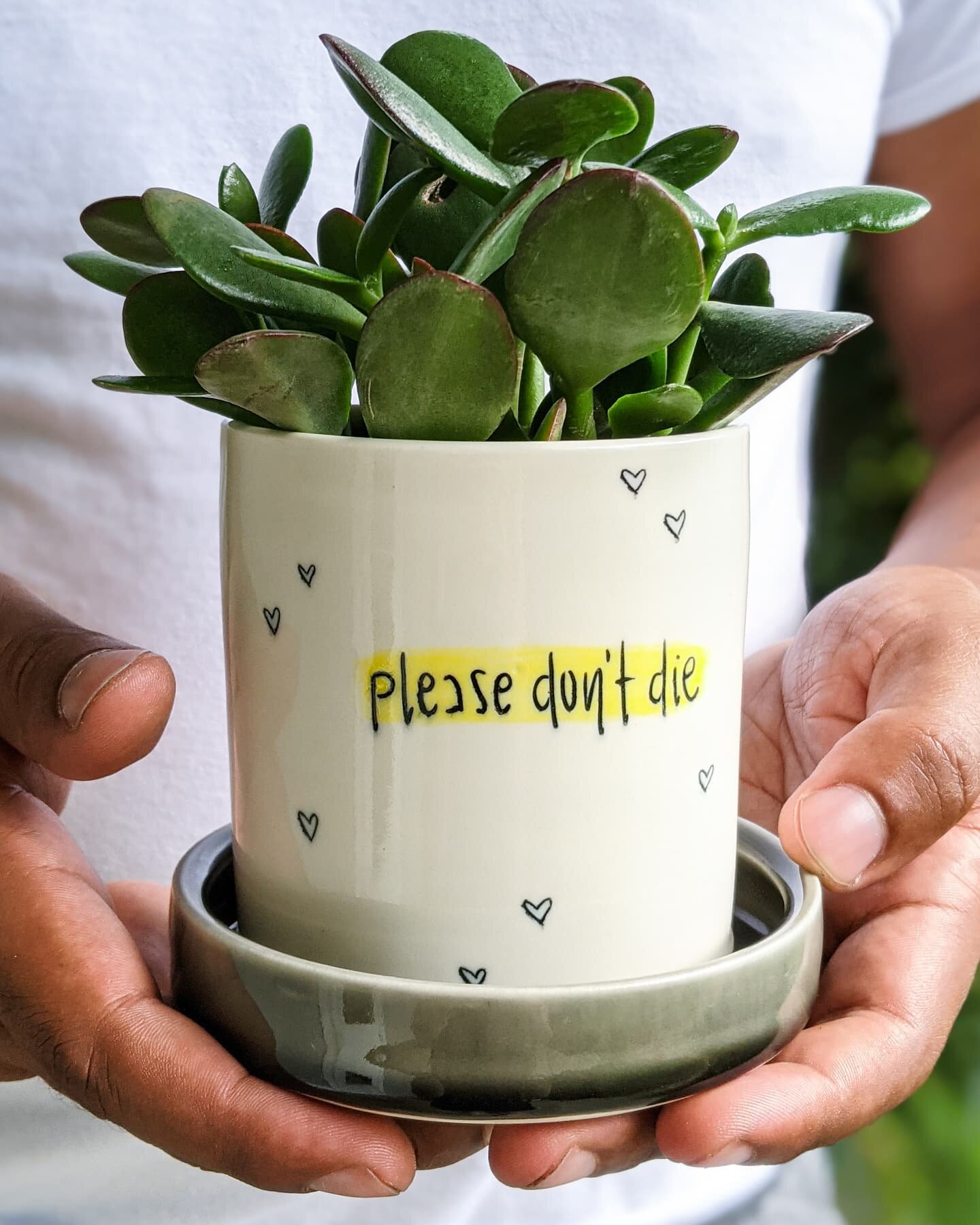 Today's the day! ✨Perfectly Dreamy✨ shop update with @perfectly.bare coming at 3pm EST! You can expect mugs, planters (like this cutie), pipes, and vases from me; trays and altar pieces from Diamond 💖 

Check out the link in my bio to shop our #coll
