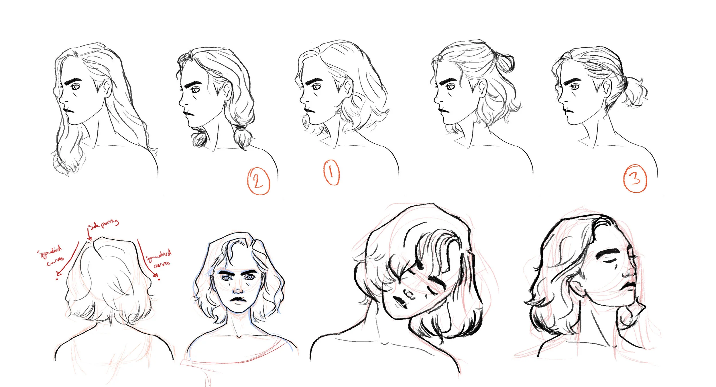 Ava Hair study.jpg