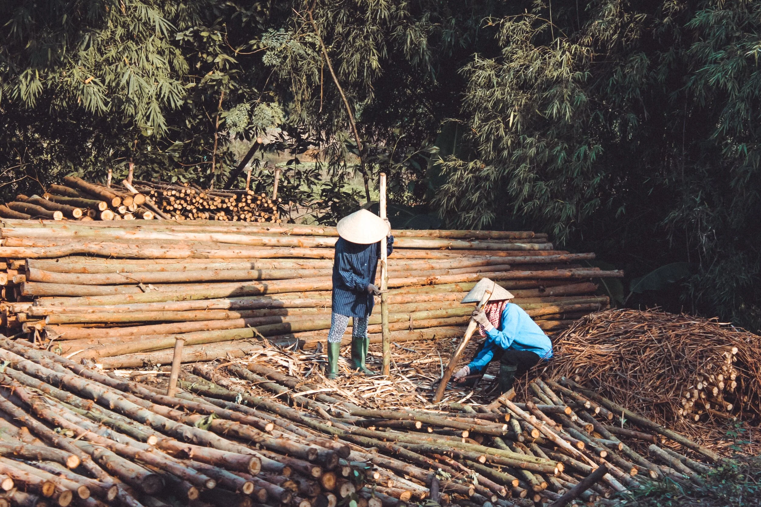chinese-lumber-workers.jpg