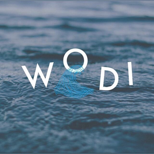 We want to take a moment to thank the incredible web designer and branding genius Jamie Neasham  @wearegardenstudio behind WODI&rsquo;s logo and meaningful fingerprint! .
.
We also want to thank @claire.reynolds from the @ecoshaker team for amplifyin