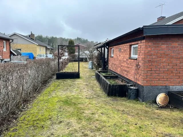 tradgardskallan - 1.jpeg