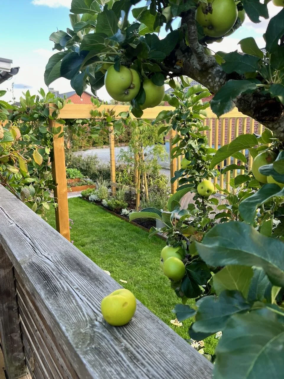 tradgardskallan - 4.jpeg