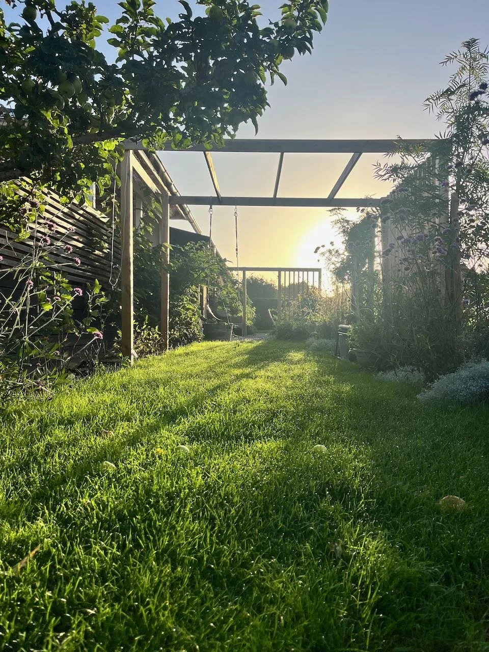 En lång och smal del av trädgården