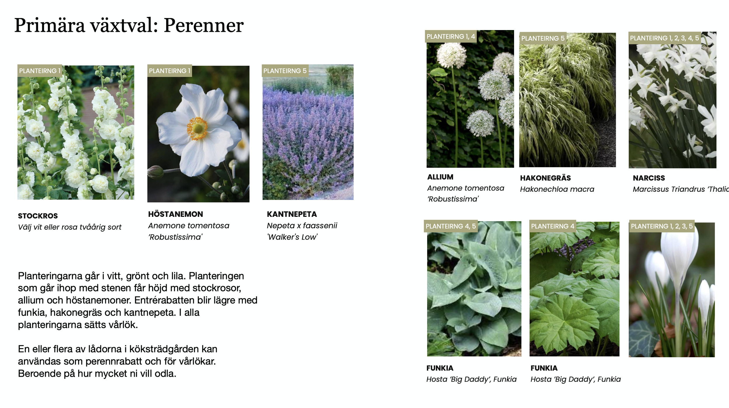 Skärmavbild 2026-04-17 kl. 13.12.19.png