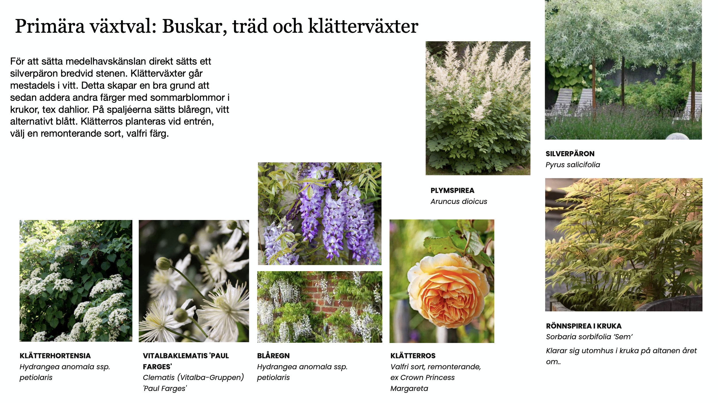 Skärmavbild 2026-04-17 kl. 13.12.12.png