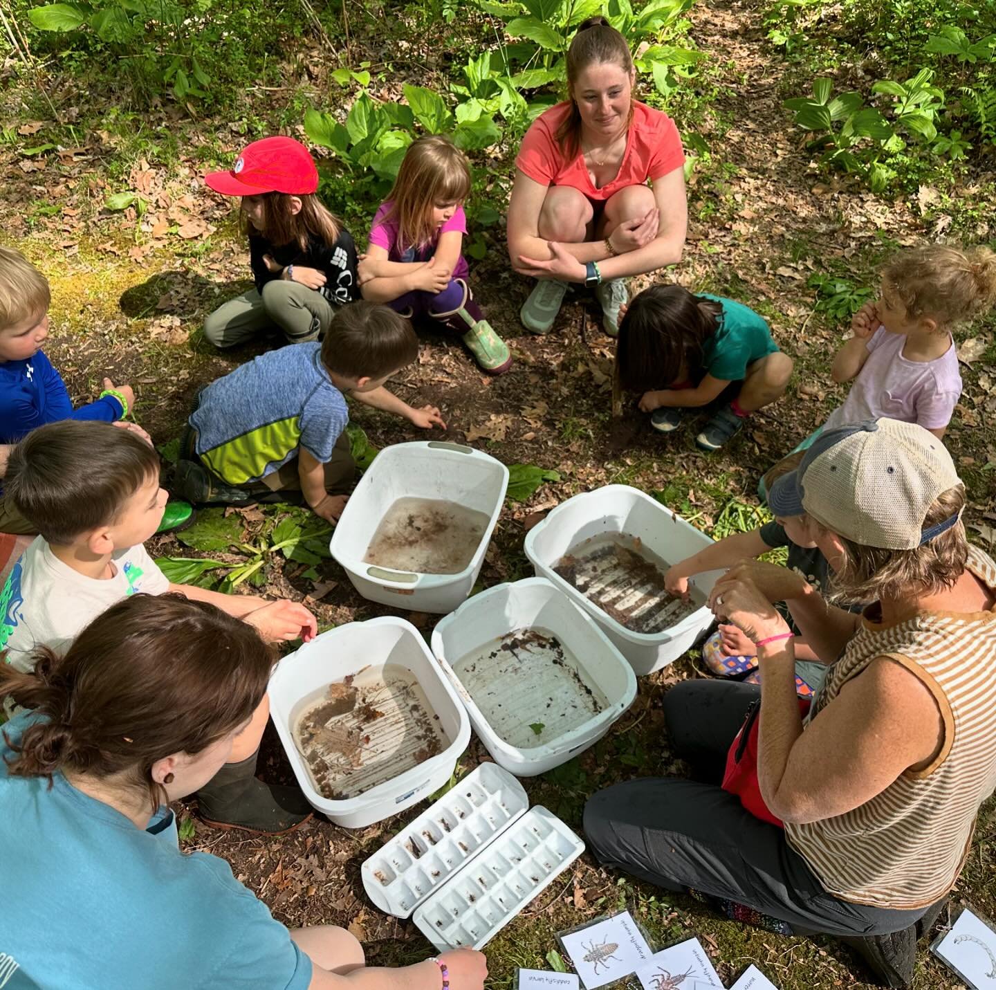 Today was full of lots of water exploration at Rooted &amp; Free! Our preschool class spent the first part of the day journeying to the stream while checking out the story walk. This told us about some of the ways we can search for the critters that 