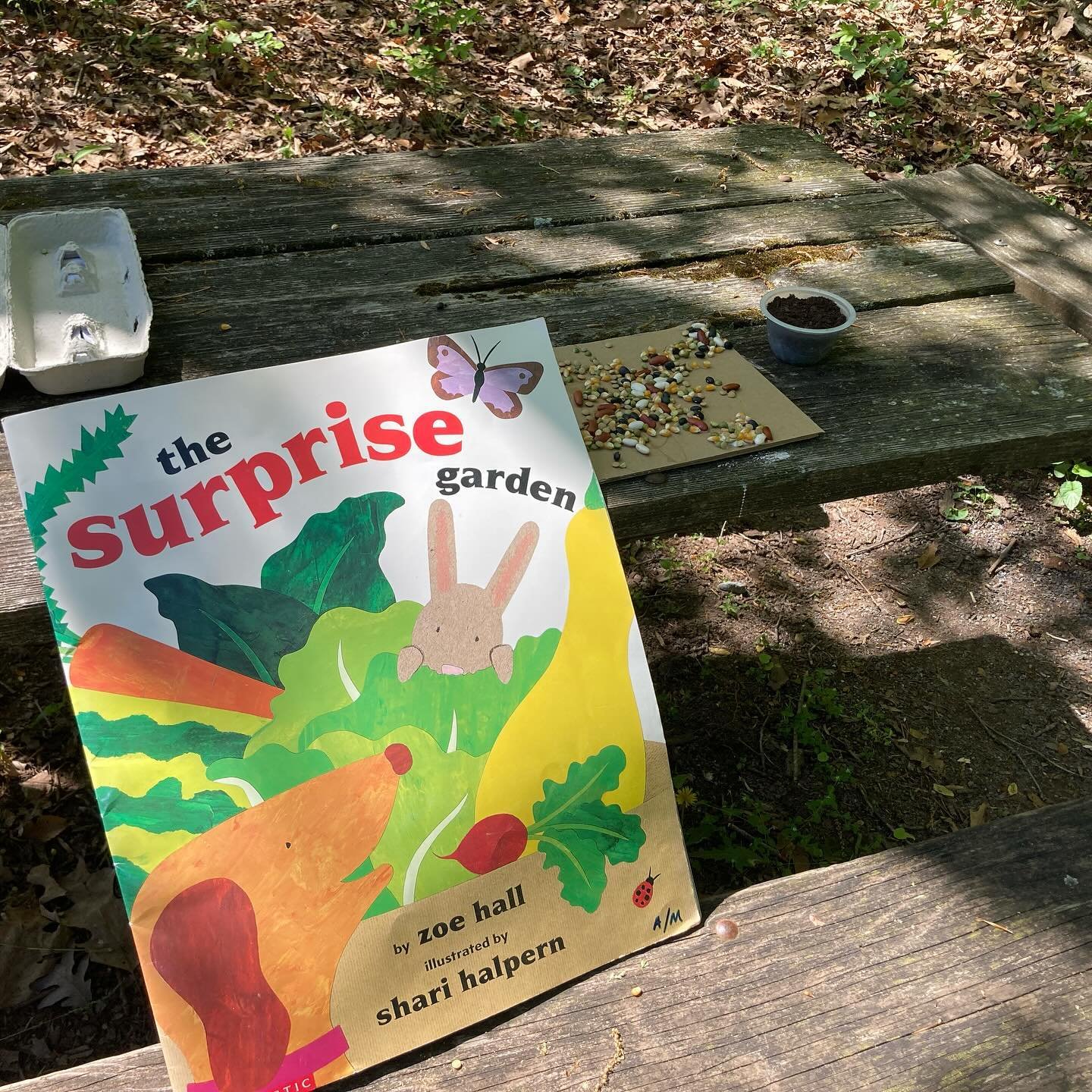 Our last Thursday Explore Together class felt more like summer than spring! We talked about how important plants and trees are to the earth, read The Surprise Garden, and then planted some seeds and made some seed art! The shade and water at the natu