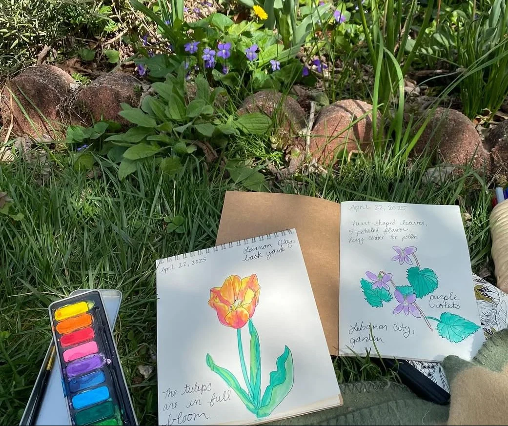 Nature Journaler's Starter Kit