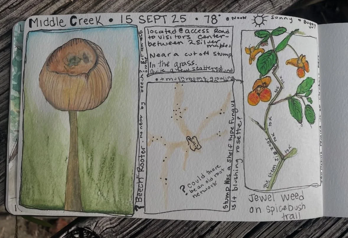 Foundations of Nature Journaling for Adults & Teens