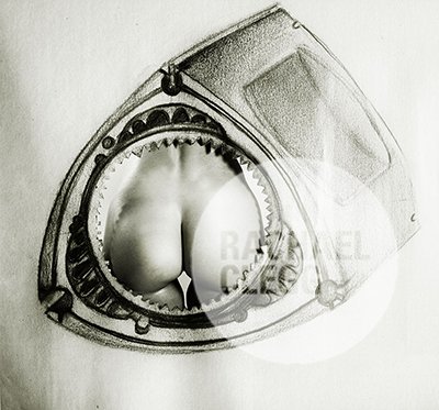 WEB ROTARY 1 CHEEKY_.jpg