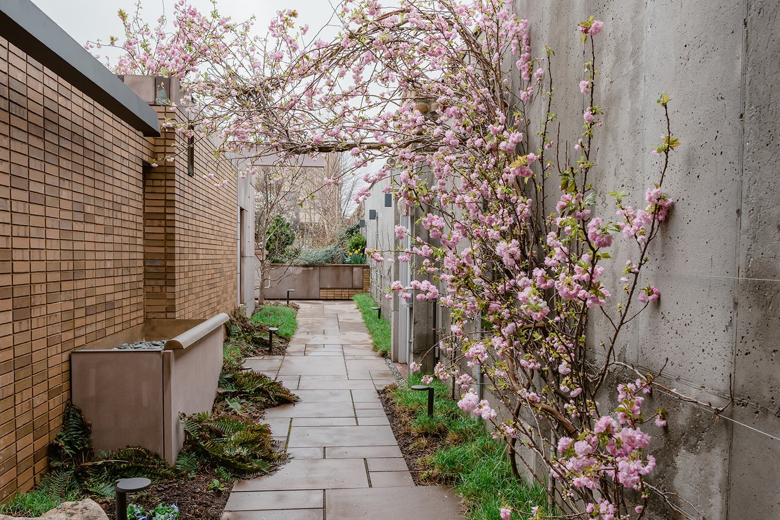 Outdoor garden courtyard at Carroll Hall Brooklyn event venue