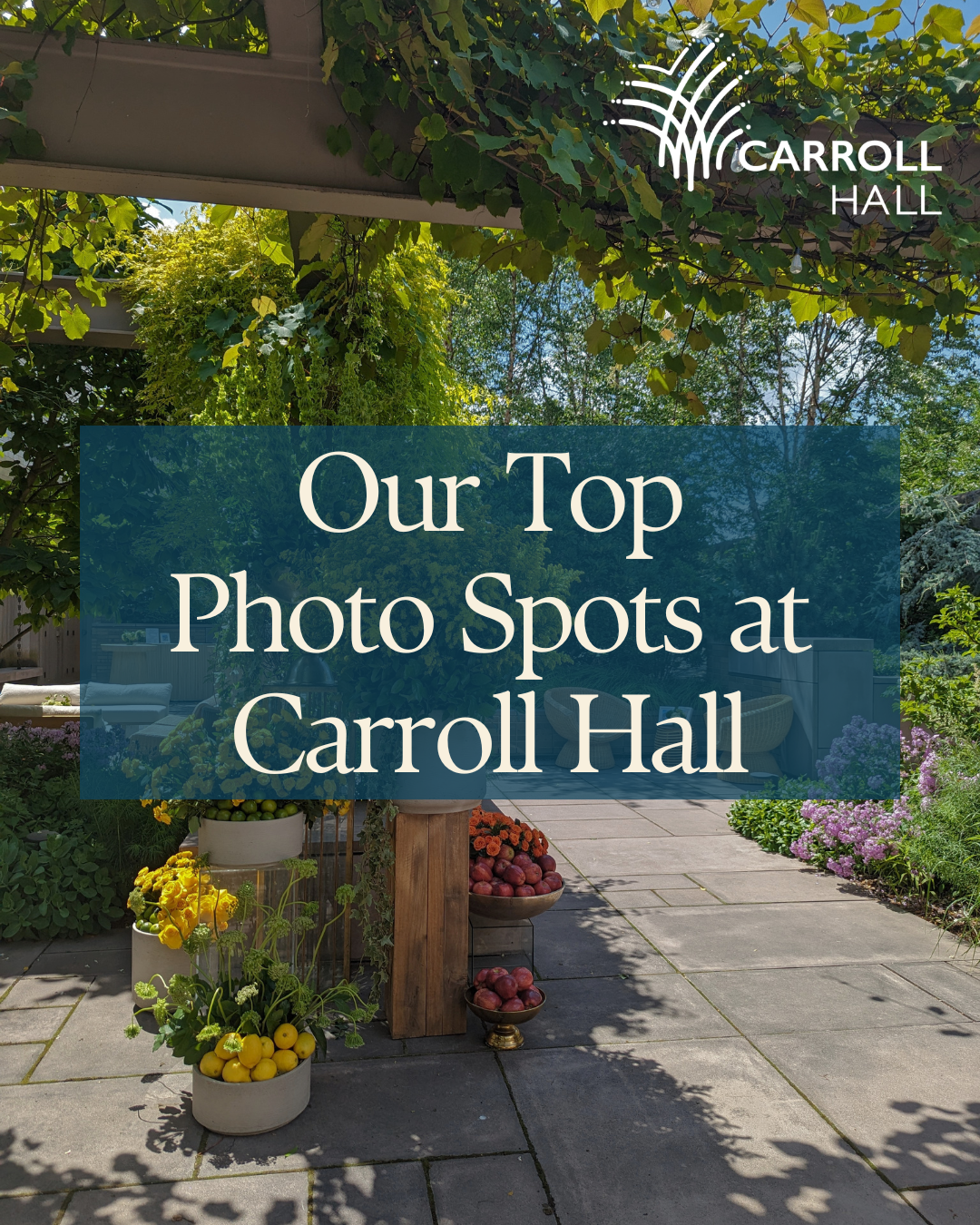 Our Top Photo Spots at Carroll Hall
