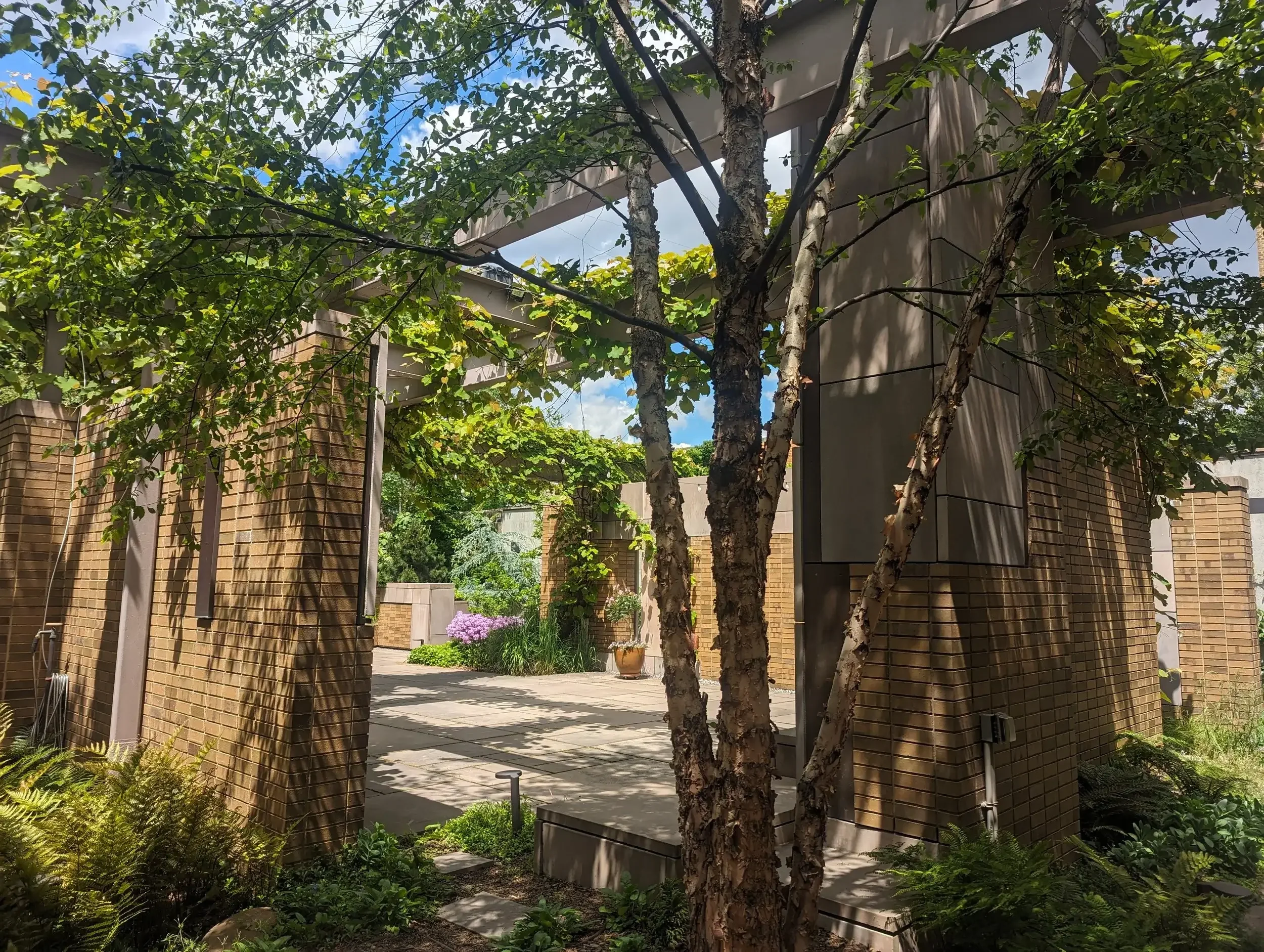 A peek at the East Courtyard at Carroll Hall