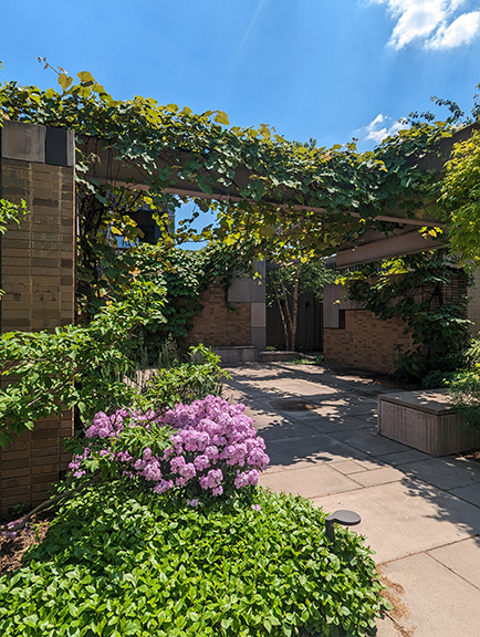 Carroll Hall Garden and Event Venue in Brooklyn, NY
