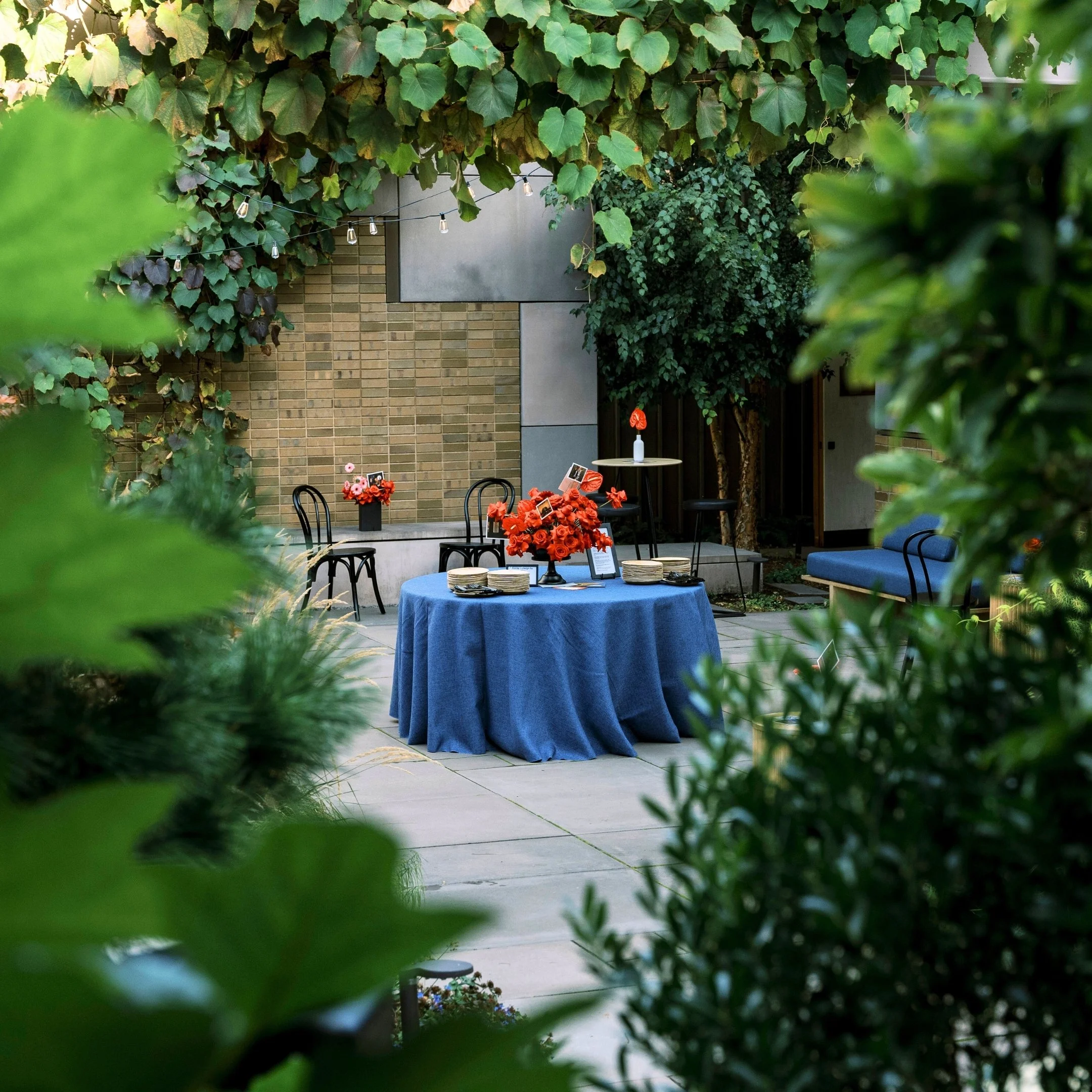 Display Ad - Discover Carroll Hall #2 - Garden.jpg
